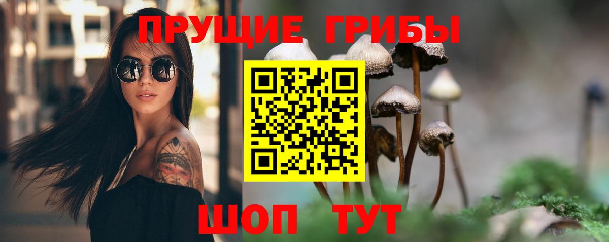 Псилоцибиновые грибы прущие грибы  Вход с VPN  Новочебоксарск 