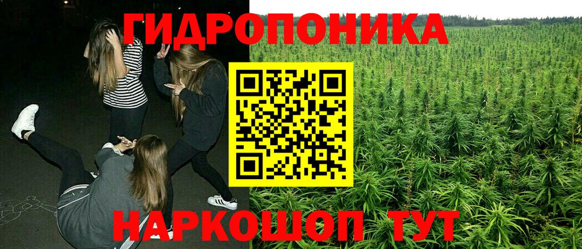 МАРИХУАНА сатива Новочебоксарск